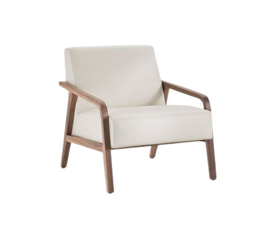 Bison Accent Arm Chair